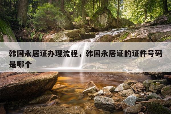 韩国永居证办理流程，韩国永居证的证件号码是哪个
