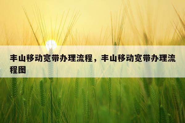 丰山移动宽带办理流程，丰山移动宽带办理流程图