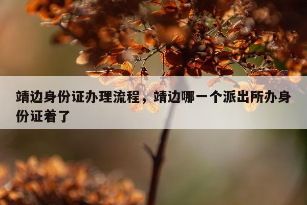 靖边身份证办理流程，靖边哪一个派出所办身份证着了