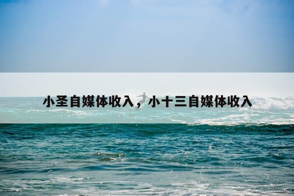 小圣自媒体收入，小十三自媒体收入