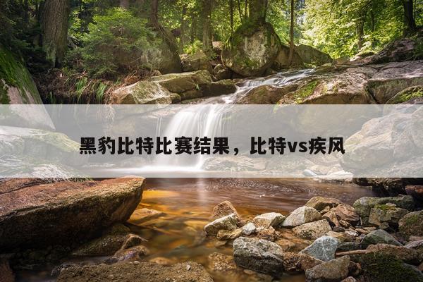 黑豹比特比赛结果，比特vs疾风