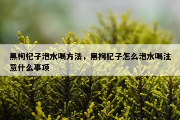 黑枸杞子泡水喝方法，黑枸杞子怎么泡水喝注意什么事项