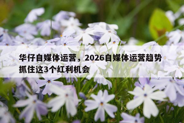 华仔自媒体运营，2026自媒体运营趋势 抓住这3个红利机会