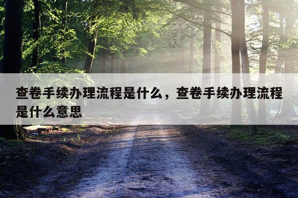 查卷手续办理流程是什么，查卷手续办理流程是什么意思