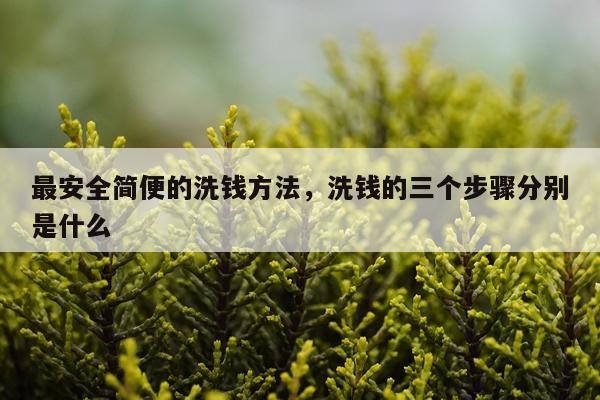 最安全简便的洗钱方法，洗钱的三个步骤分别是什么