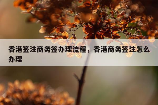 香港签注商务签办理流程，香港商务签注怎么办理