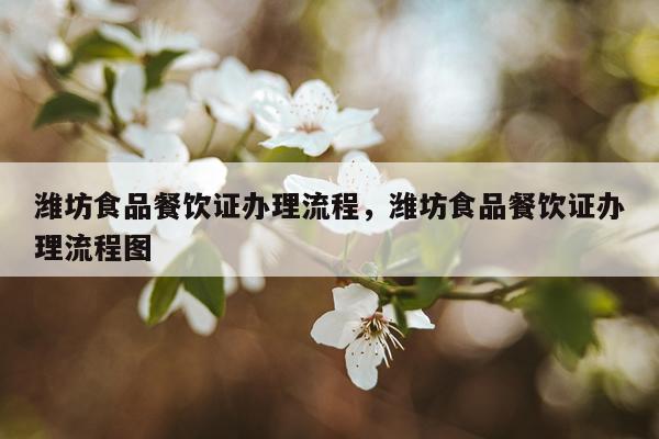 潍坊食品餐饮证办理流程，潍坊食品餐饮证办理流程图