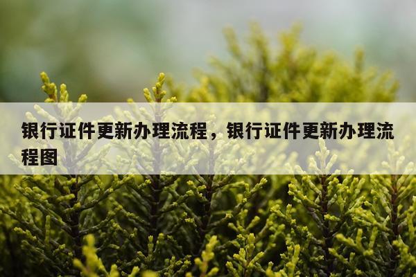 银行证件更新办理流程，银行证件更新办理流程图