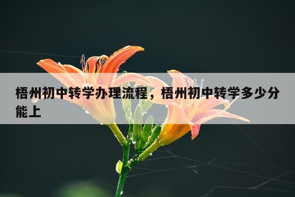 梧州初中转学办理流程，梧州初中转学多少分能上