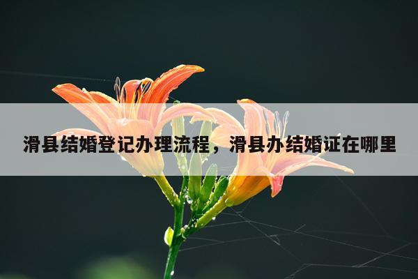 滑县结婚登记办理流程，滑县办结婚证在哪里