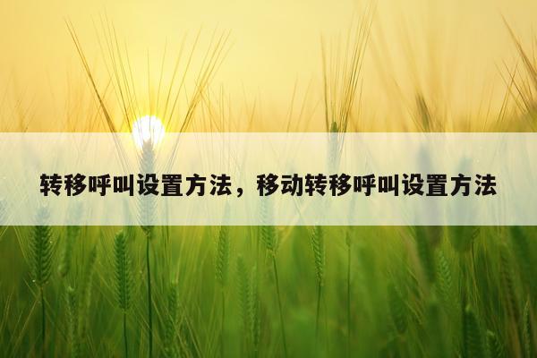 转移呼叫设置方法，移动转移呼叫设置方法
