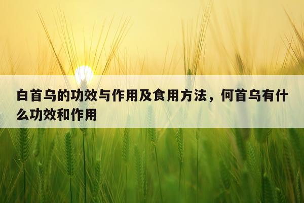 白首乌的功效与作用及食用方法，何首乌有什么功效和作用
