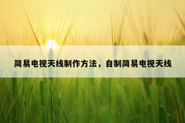 简易电视天线制作方法，自制简易电视天线