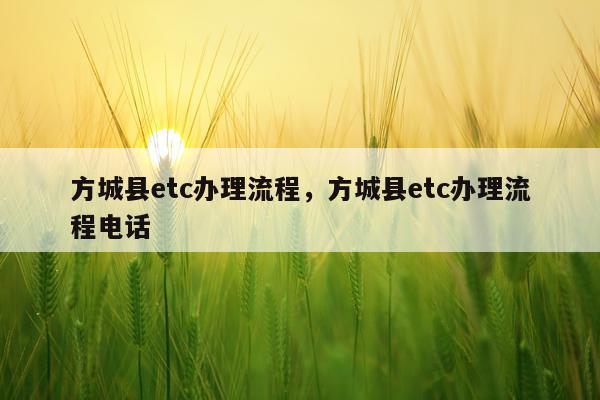 方城县etc办理流程，方城县etc办理流程电话