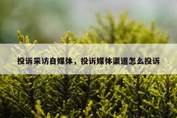投诉采访自媒体，投诉媒体渠道怎么投诉