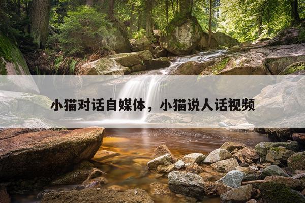 小猫对话自媒体，小猫说人话视频