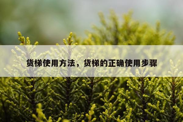 货梯使用方法，货梯的正确使用步骤