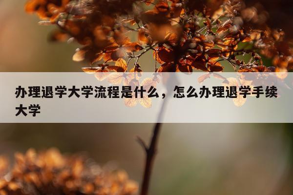 办理退学大学流程是什么，怎么办理退学手续大学