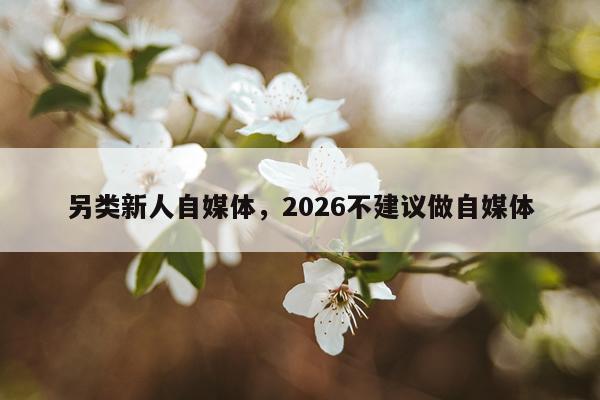 另类新人自媒体，2026不建议做自媒体