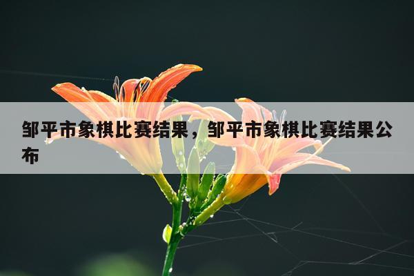 邹平市象棋比赛结果，邹平市象棋比赛结果公布