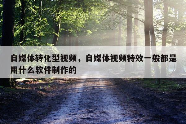 自媒体转化型视频，自媒体视频特效一般都是用什么软件制作的