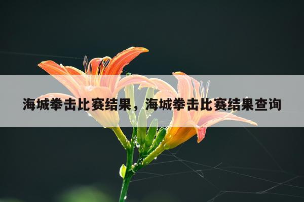 海城拳击比赛结果，海城拳击比赛结果查询