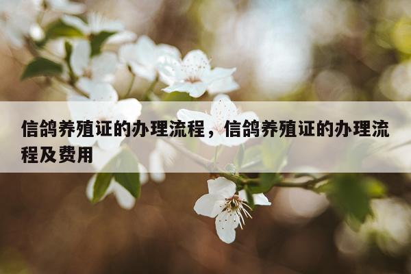信鸽养殖证的办理流程，信鸽养殖证的办理流程及费用