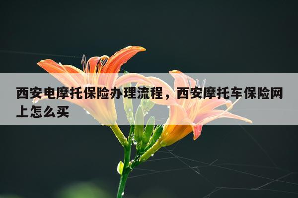 西安电摩托保险办理流程，西安摩托车保险网上怎么买