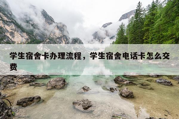 学生宿舍卡办理流程，学生宿舍电话卡怎么交费
