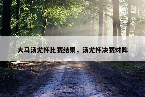 大马汤尤杯比赛结果，汤尤杯决赛对阵