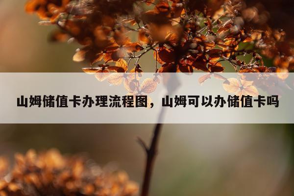 山姆储值卡办理流程图，山姆可以办储值卡吗