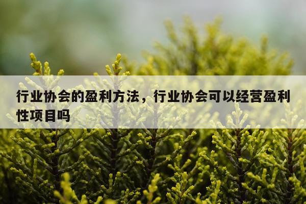 行业协会的盈利方法，行业协会可以经营盈利性项目吗
