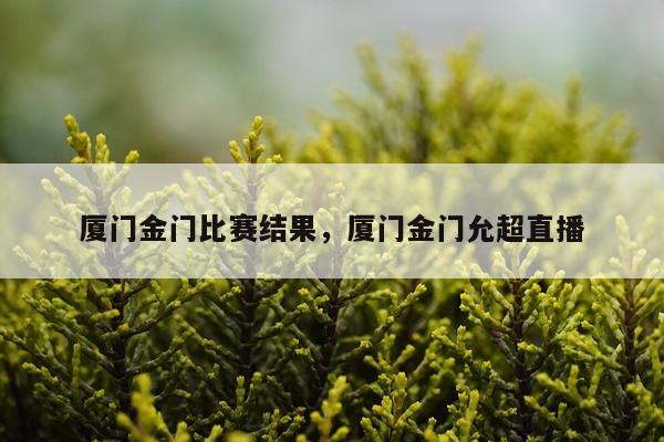 厦门金门比赛结果,厦门金门允超直播