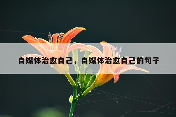 自媒体治愈自己,自媒体治愈自己的句子