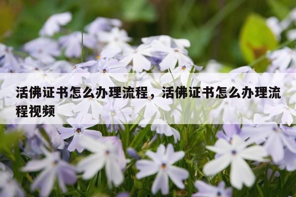 活佛证书怎么办理流程,活佛证书怎么办理流程视频